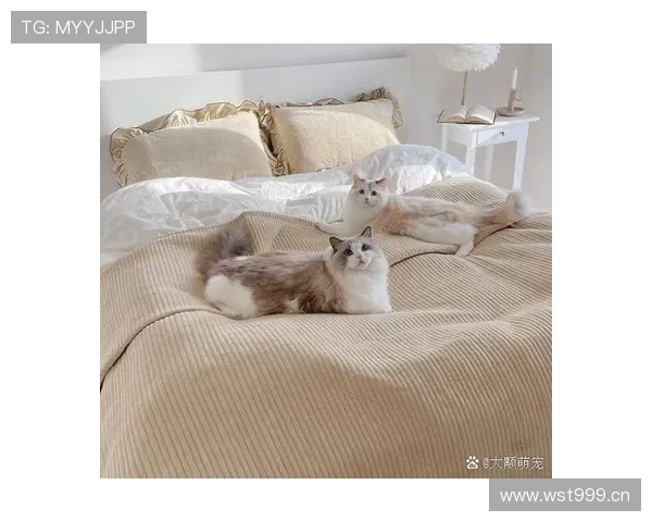 柳雅慧家里的茶几居然比我房租还贵，这生活简直跟我不是一个星球的样子